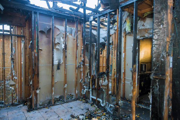 Professional Fire Damage Removal technician working in Raven, VA
